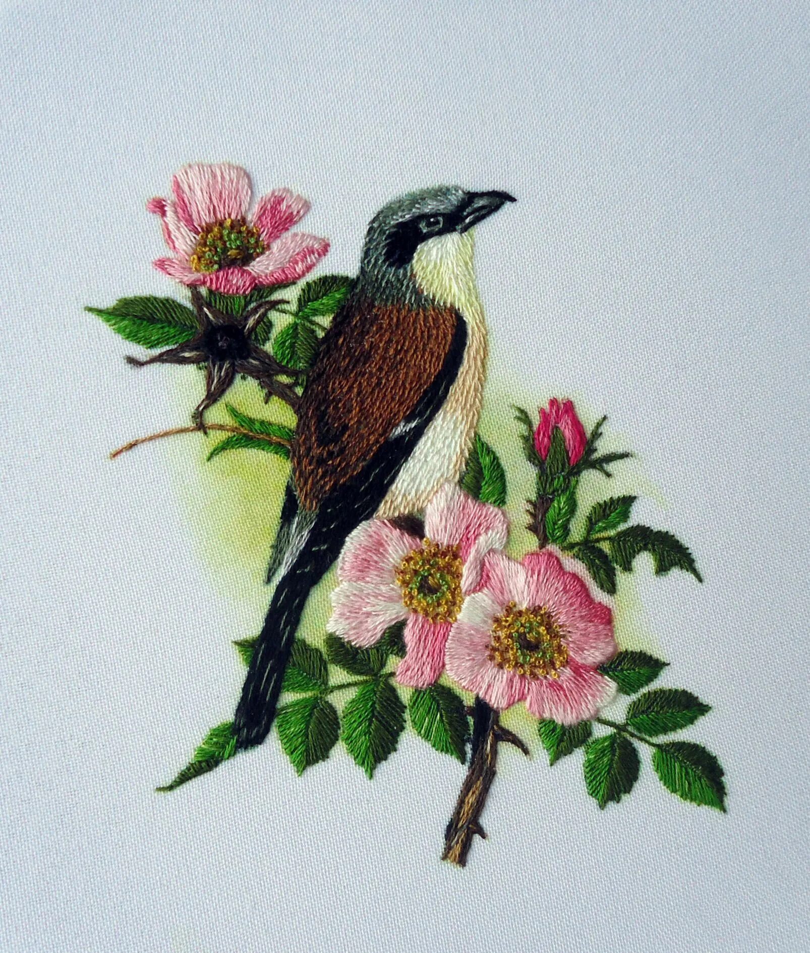 Гладь птицы. Птички триш бурр. Вышивка гладью. Триш бурр вышивка. Вышивка гладью птички.