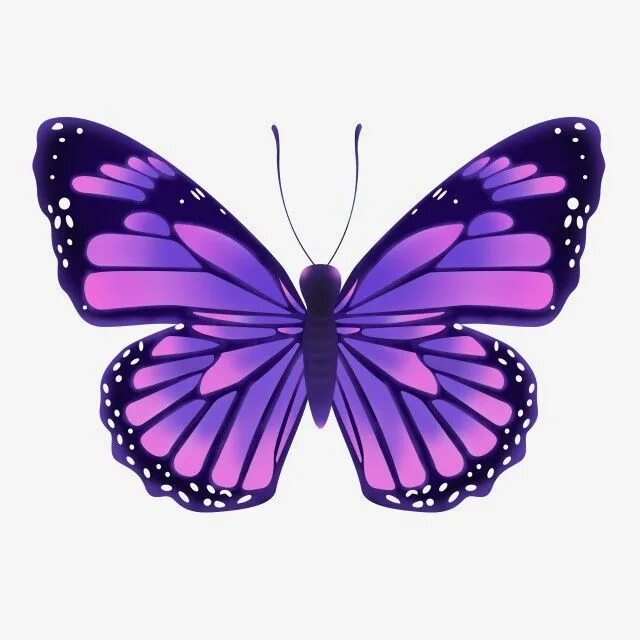 Orange Butterfly PNG Clip Art - Best WEB Clipart Butterfly watercolor, Butterfly