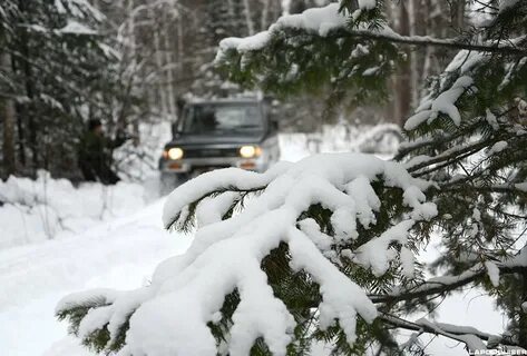 Зима в тайге вездеходы