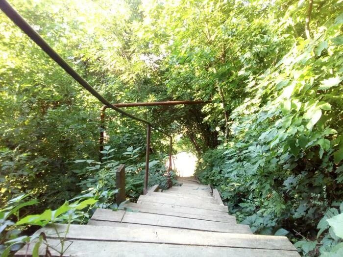 самые красивые домики на дереве. домики на дереве интересные. алникский дом на дереве. алникский дом на дереве. хижина гномов, британская колумбия.