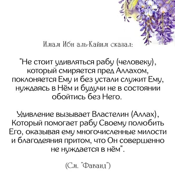 Ибн кайим аль. Слова ибн Кайима. Фразы ибн Аль Кайима. Ибн Кайим Аль Джаузи цитаты. Ибн Кайим сердце больное.