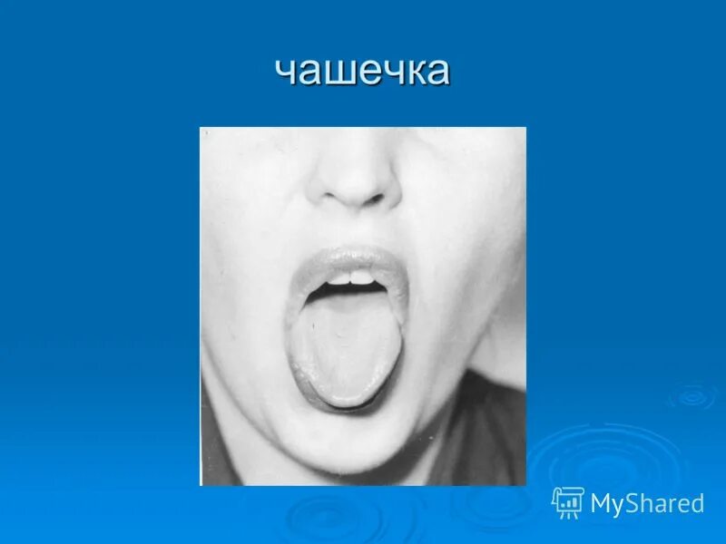 упражнение чашечка. артикуляционная гимнастика для детей часики. человеческие губы. поцелуй в губы. упражнение чашка артикуляционная гимнастика.