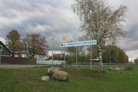 Погода лен отрадное