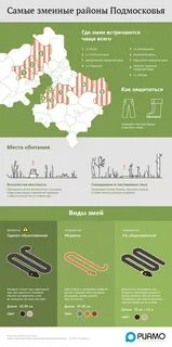 Карта гадюки