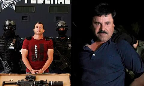 Глава картеля