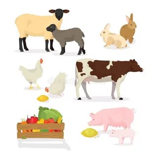 There is pigs cows and sheep