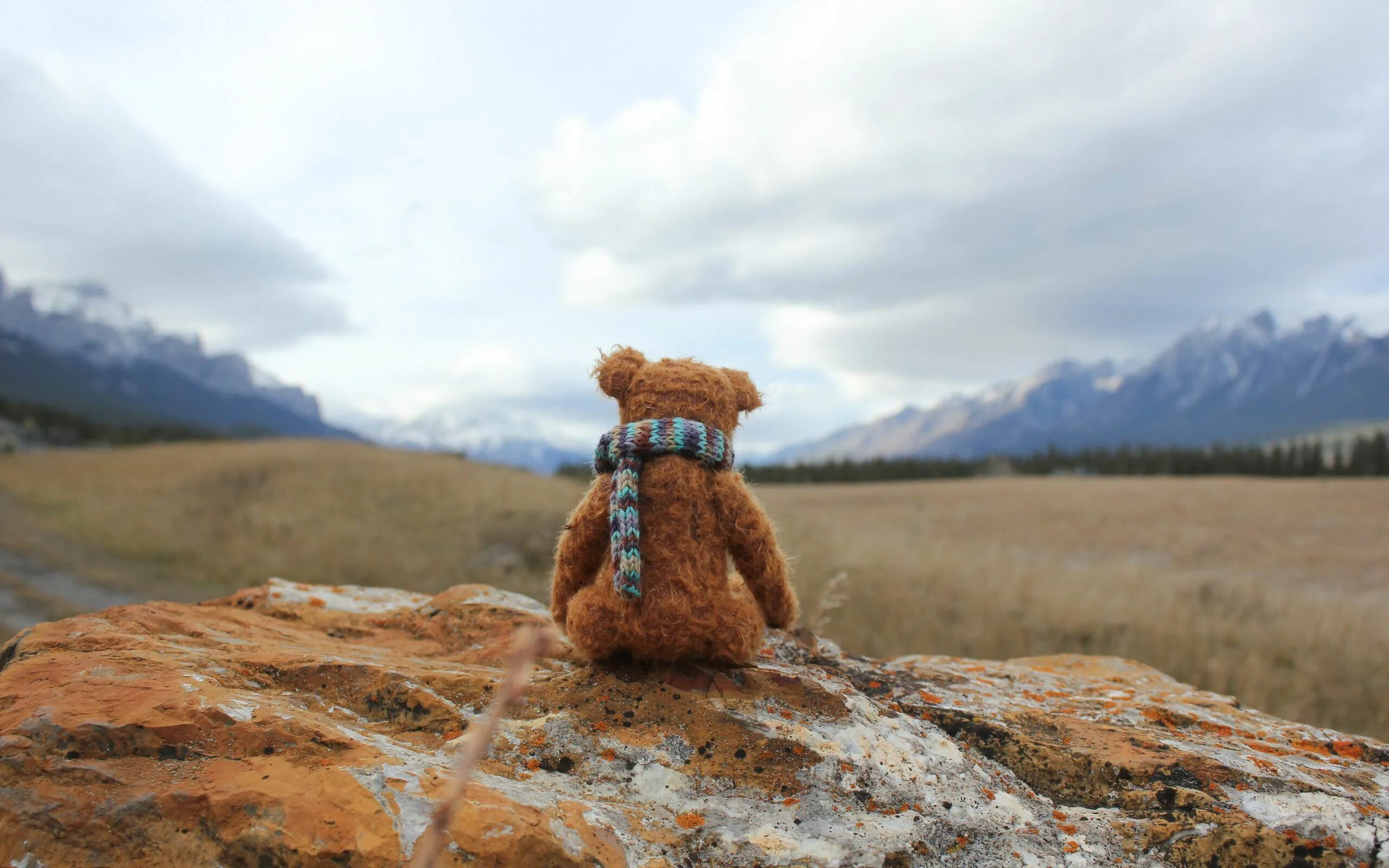 Мишка на море. Путешествие медвежонка. Одинокие игрушки. Медведь с глобусом. Мишка путешествует.