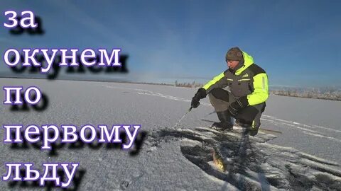 1 лед 20 20