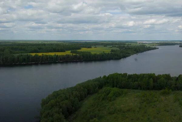 Вазузское водохранилище Хлепень. Вазузское водохранилище деревня Высокино. Деревня Хлепень Вазуза. Гнездилово Зубцовский район. Форум вазузского водохранилища