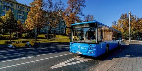 Транспорт в ноябре