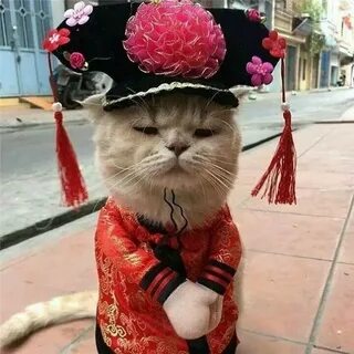 Разные смешные фото