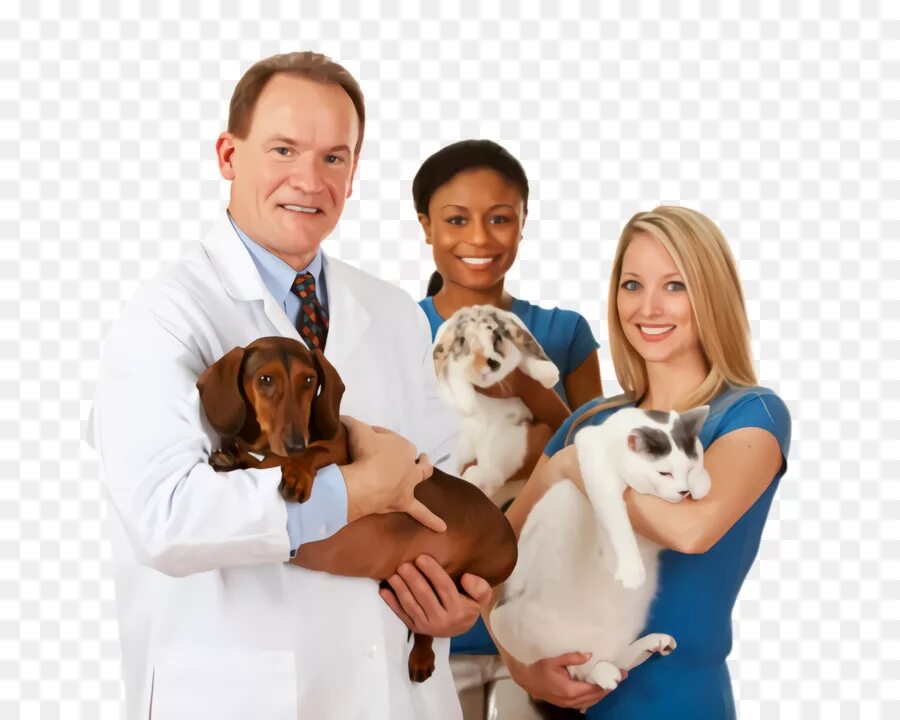 Animals treated
