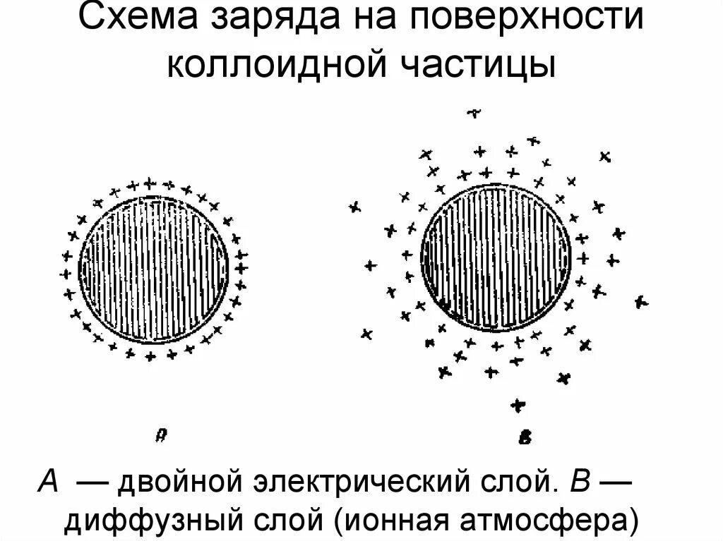 Заряд коллоидных частиц. Механизм возникновения Эл зарядов коллоидных частиц. Механизм возникновения электрического заряда коллоидных частиц. Механизм образования заряда в коллоидных частицах. Механизм образования заряда на поверхности коллоидной частицы.