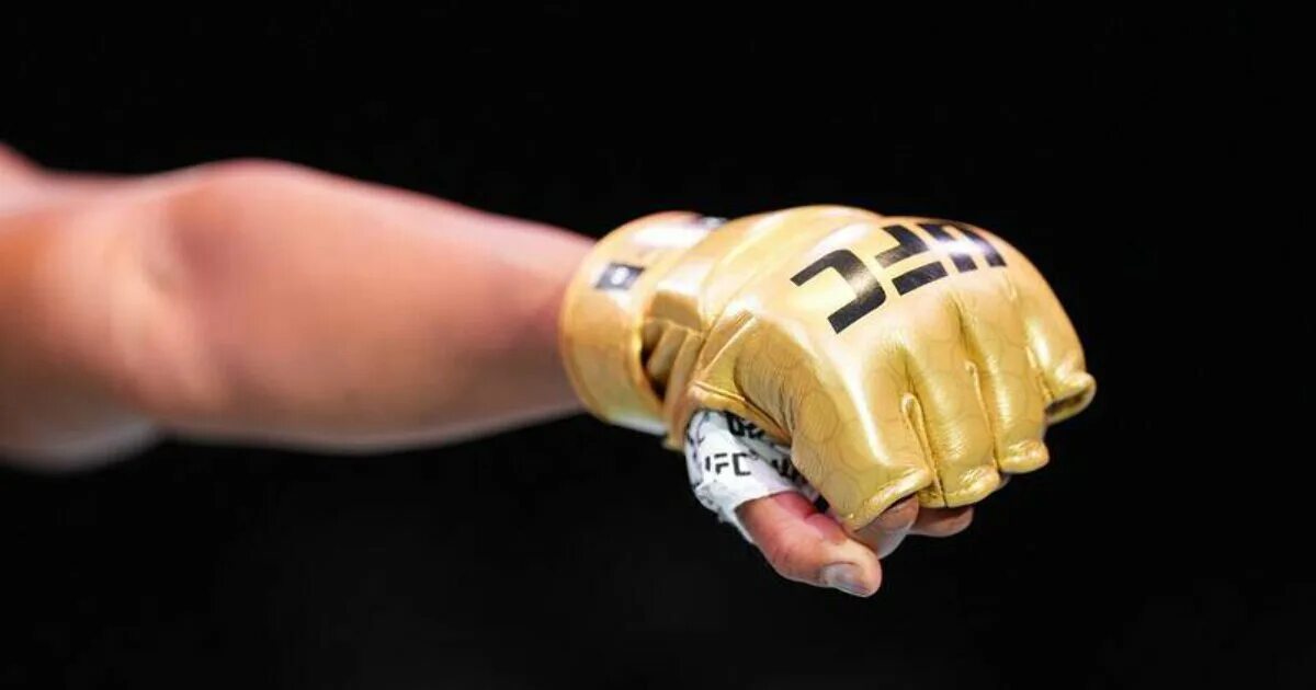 Золотые перчатки юфс. Профессиональные перчатки ufc. Mma gloves. Перчатки мма green hill. Перчатки ufc 30 years.