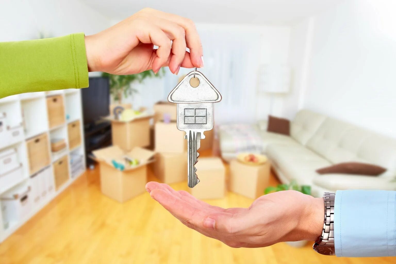 Article property