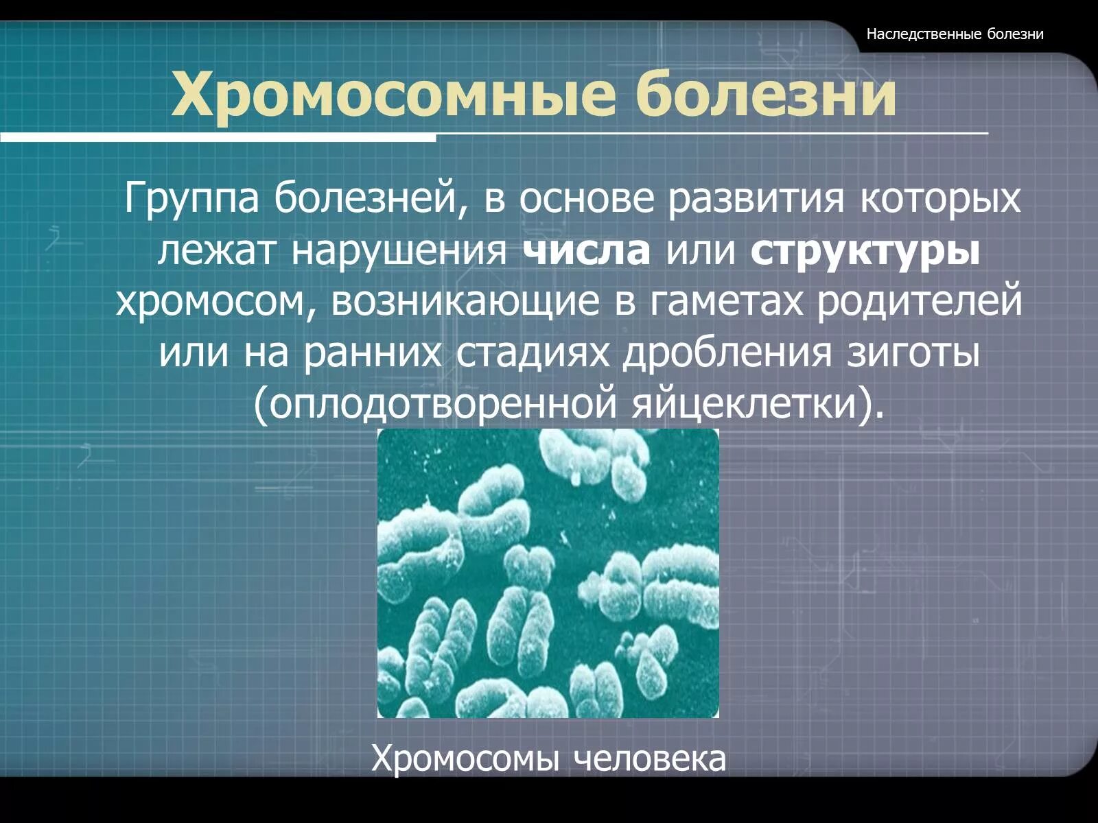 Наследственные болезни. Наследственные болезни хромосомные болезни. Хромосомные заболевания презентация. Болзеги хромосомные болезни. Заболевания передающиеся наследственным путем