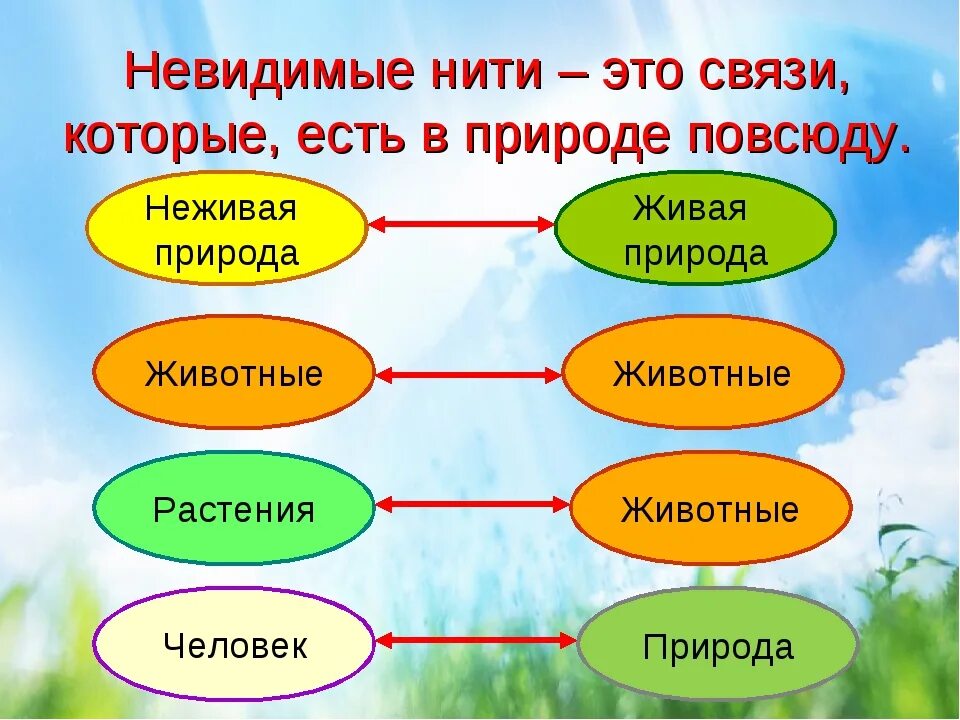 Окружающий мир 2 класс невидимые нити ответы