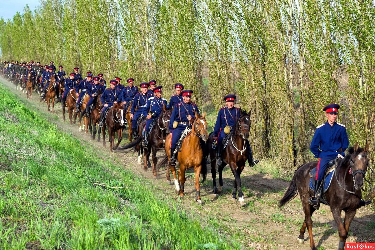 Казачество в жизни казаков. Казачьи Шермиции Кубань. Казачья община "Донские казаки". Скачки белая Калитва казаки. Казачья станица Уральские казаки.