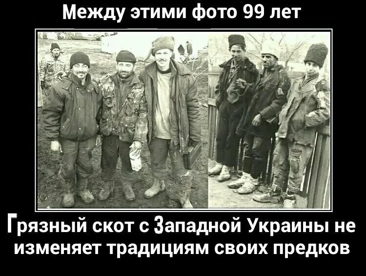 Поляки ненавидят