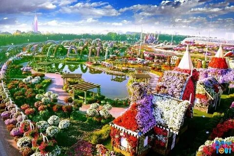 Страна тон