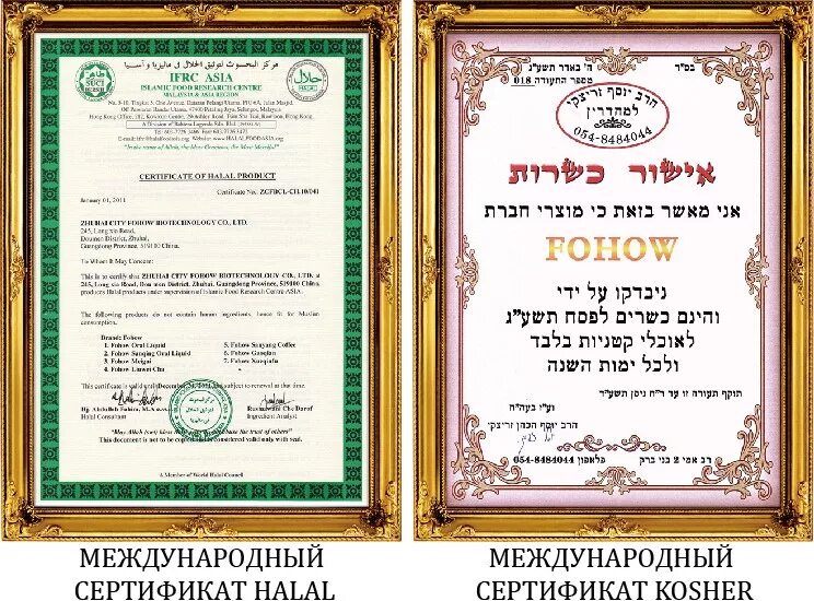 Сертификат халяль эталон гарант. Сертификат Kosher. Сертификат Halal. Международный сертификат. Сертификация Халяль и кошер.