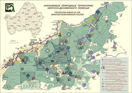 Лесничество особо охраняемая природная территория