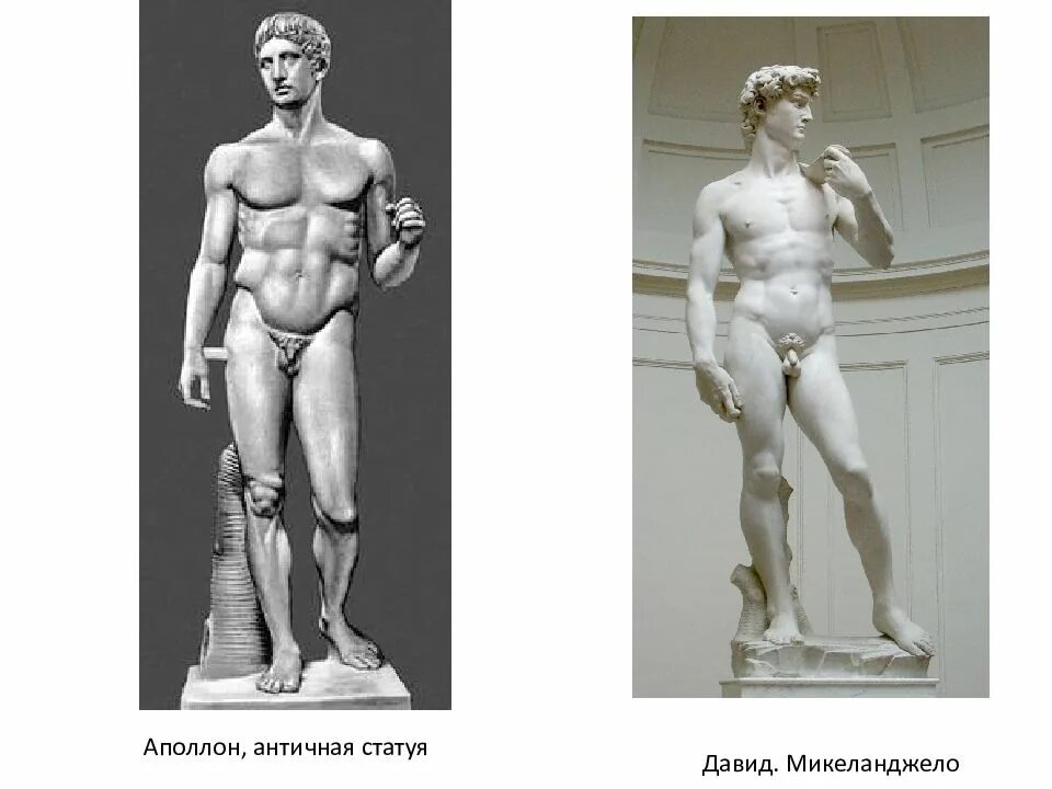 Размеры аполлона. Давид аполлон микеланджело. аполлон статуя микеланджело. статуя давида микеланджело. микеланджело статуя аполлона (давида).