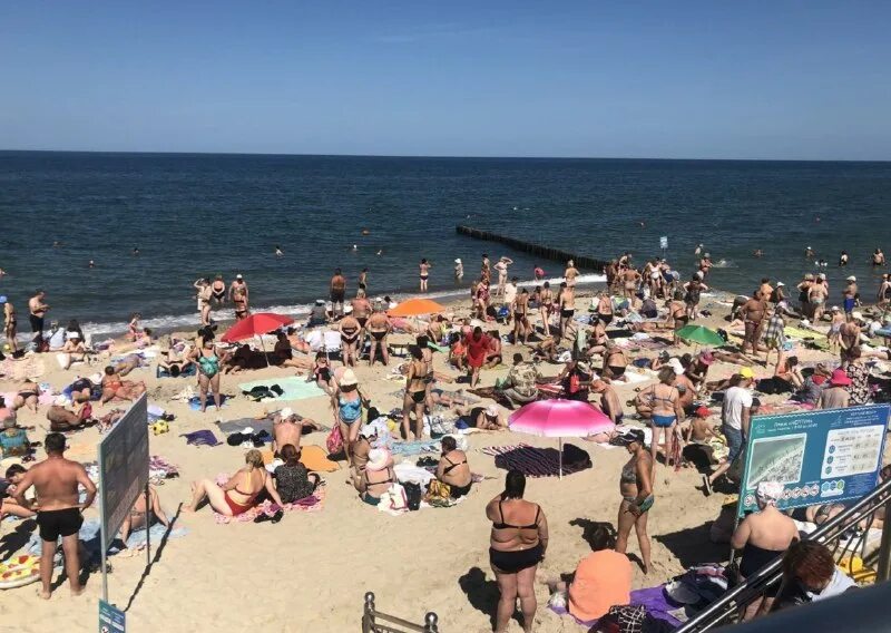 Температура воды моря зеленоградск. Море в Зеленоградске температура воды летом.