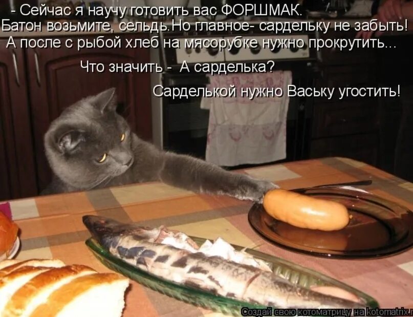 Коты и сосиски. Кот с сосисками. Приколы с котами и едой. Прикол про кошек еду.