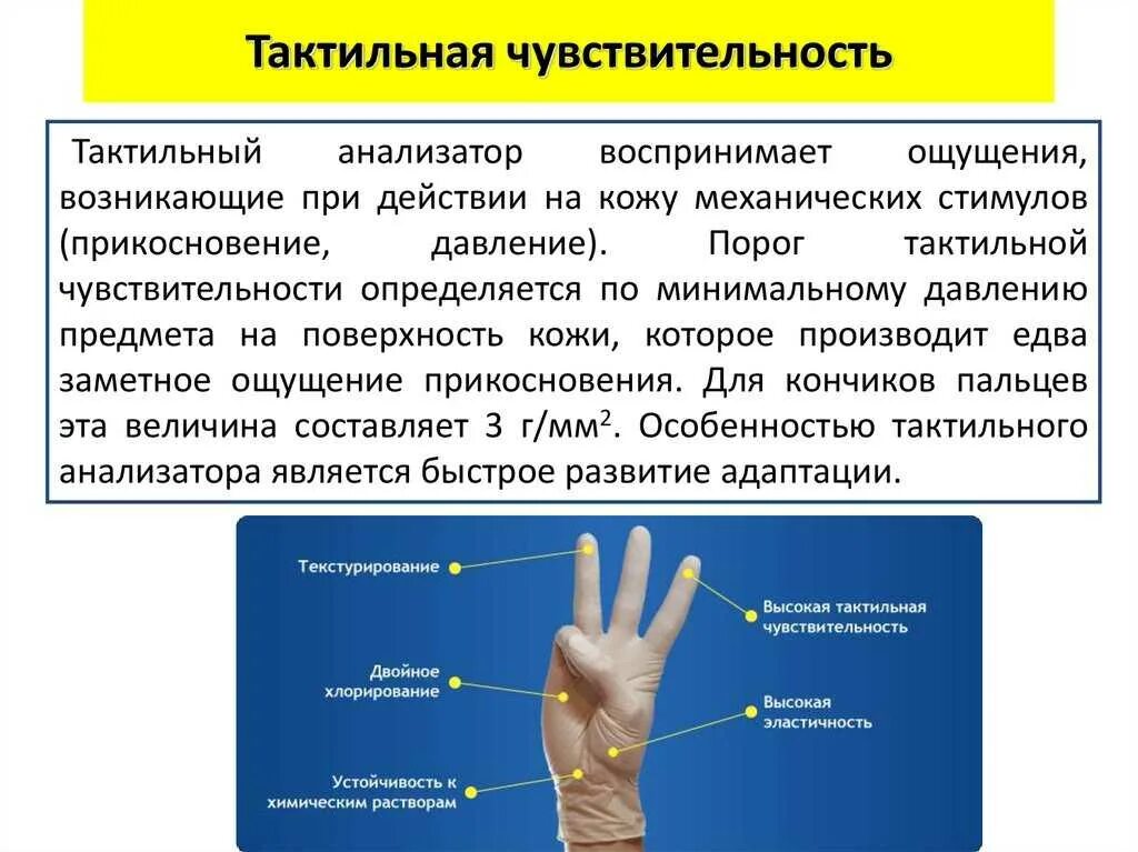 Тактильность что это