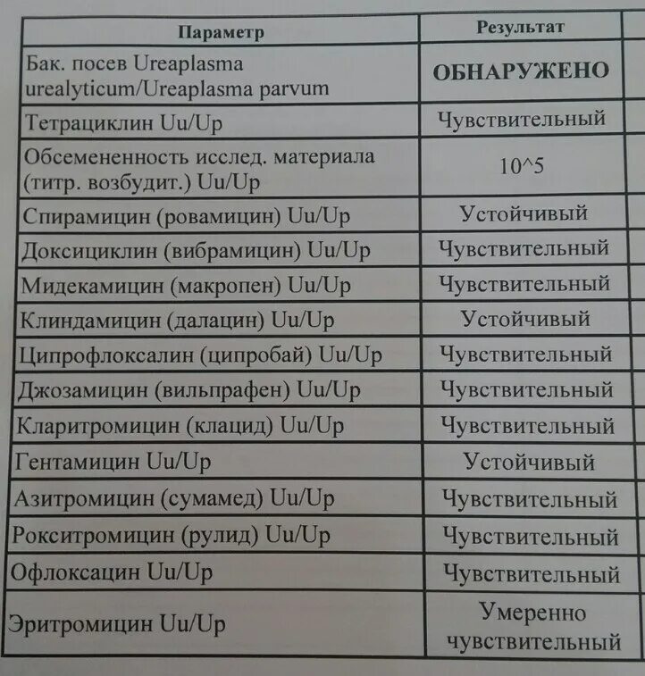 Результат анализа на бак посев. Бак посев норма таблица. Бак посев крови показатели. Результат анализа бак посев эякулята.