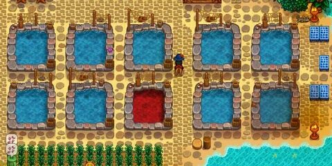 Stardew valley пруд