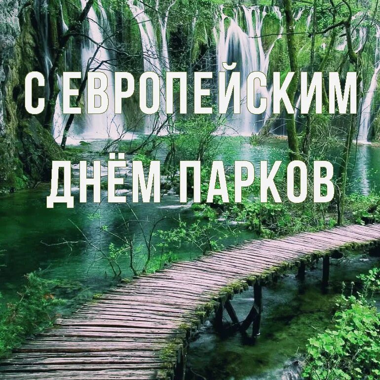 День в парке слова. Европейский день парков. Европейский день парков 24 мая. Европейский день парков картинки. Открытки Европейский день парков.