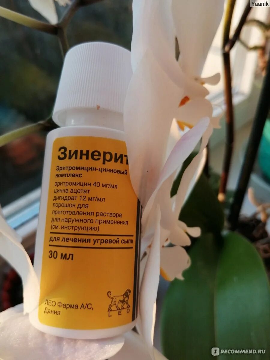 Зинерит аналоги дешевые. Зинерит аналоги дешевые