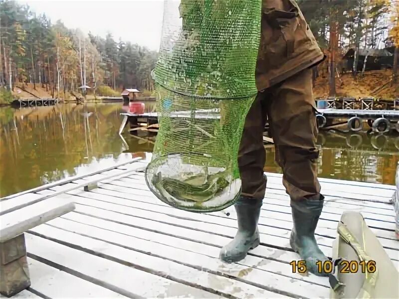 Культурная рыба. Рыбалка на калиновке екатеринбург щука. Калиновский рыбалка. Река калиновка екатеринбург. Клевая рыбалка.