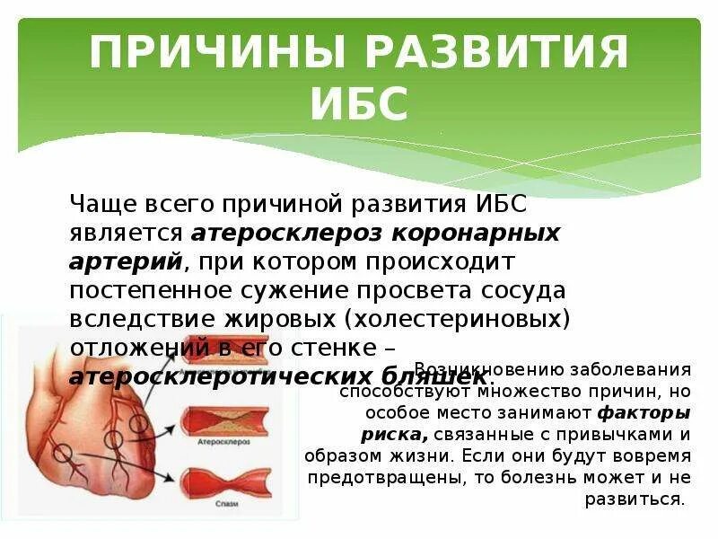 Ибс симптомы причины. Причины заболевания ибс. ишемическая болезнь сердца презентация. ишемическая болезнь причины. ишемическая болезнь сердца причины.