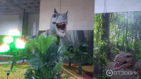 Бабочки в эль рио самара