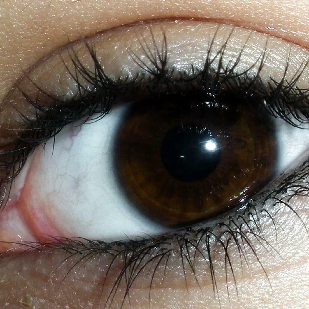 Pin by Linnea Wallin on Pojkfrisyrer Pretty brown eyes, Brown eyes aesthetic, Be