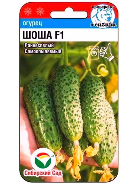 огурец партенокарпический шоша f1. семена огурца шоша f1. огурец шоша f1 5шт/10. огурец шоша партнер. огурцы гоша и шоша.