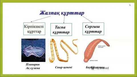 Қарт жас әйелді жалайды, ол сорды