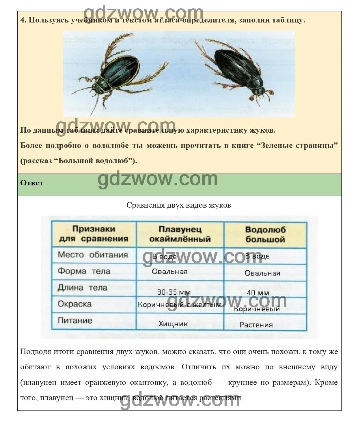 Окружающий 3 класс 2 часть страница 75. Окружающий мир 3 стр 75. Окружающий мир третий класс первая часть страница 75. Жуки окружающий мир 1 класс рабочая тетрадь Плешаков названия.