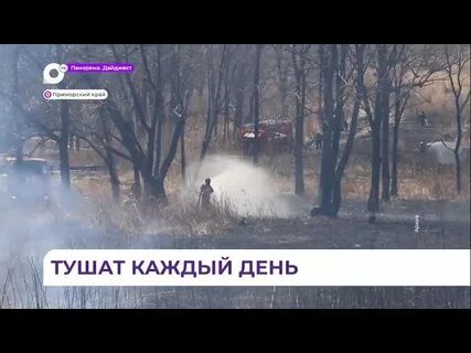Сгоревшие судьбы