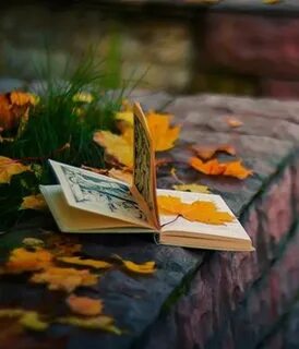 Книжка осень