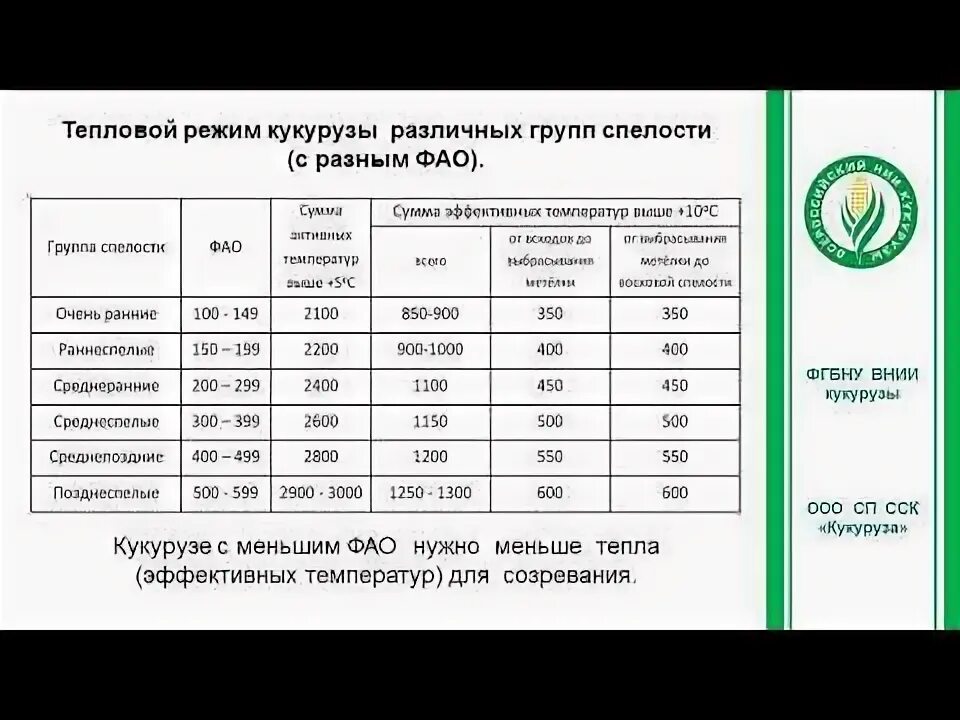 Лопающаяся кукуруза. Дом кукуруза самара. Как выглядит старая кукуруза. Фао кукурузы расшифровка. Вынос элементов питания.