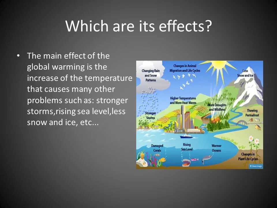 Effects of global warming. Презентация глобальное потепление на английском языке. Causes and Effects of Global warming. Global warming and its Effects. Презентация по английскому языку глобальные потепления.