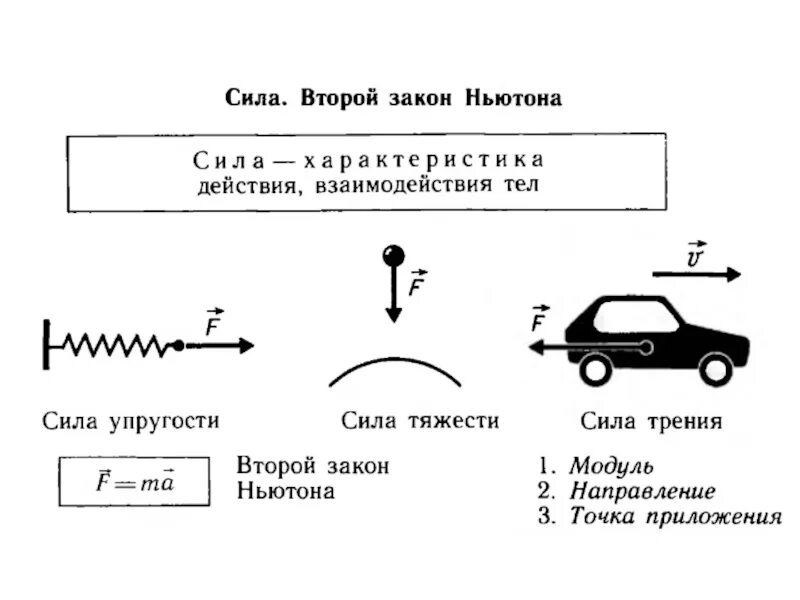 Урок циклы 10 класс