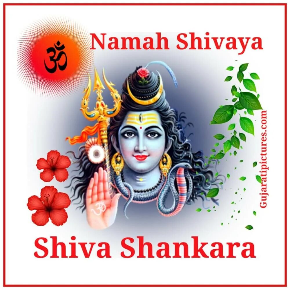 Ом намах шивайя. Namah Shivaya. Shiva Shankara. Ом Намах Шивайя праздник.