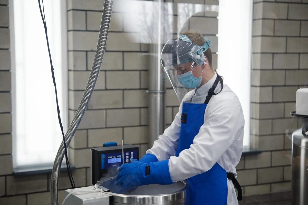 Работа бирюч вакансии. Работа бирюч вакансии. Скотник знамя труда бирюч. Бирюч красногвардейский район. Мфц в разумном белгородской обл.