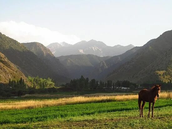 Южная киргизия. Южный Кыргызстан.
