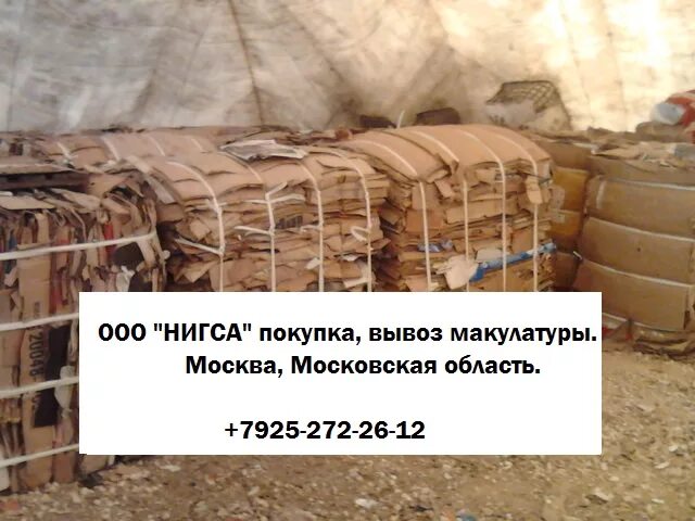 Прием макулатуры. Принимаем макулатуру. Сколько дают за 1 кг макулатуры. 100 кг картона. Килограмм макулатуры.